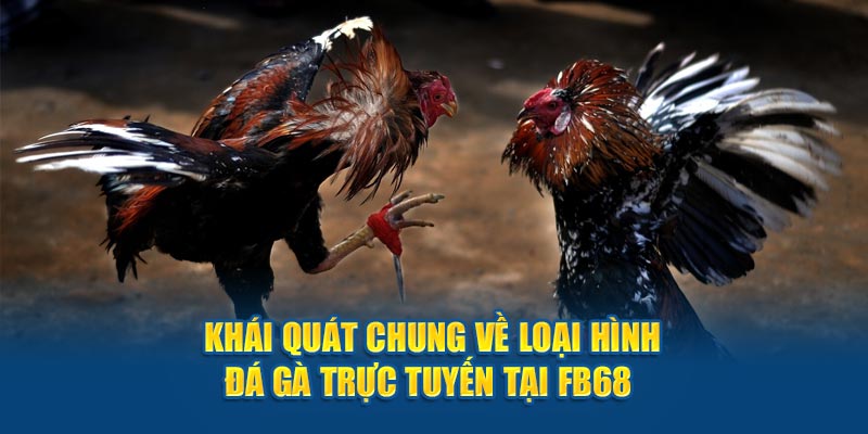 Khái quát chung về loại hình đá gà trực tuyến tại Fb68